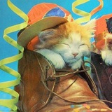 Telegram profile photo for Авоська чародей