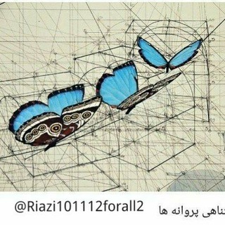 Telegram profile photo for Riazi101112forall