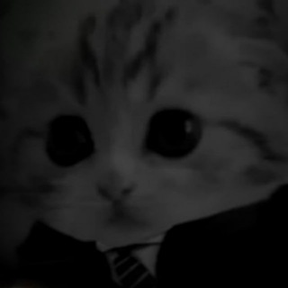 Telegram profile photo for ПРОСТИ ЗА ПАРАНОЙЮ