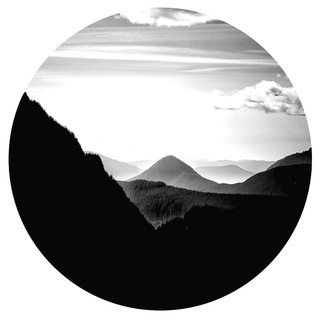 Telegram group profile photo for • SHILL HEAVEN