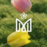 Telegram profile photo for Permegi | Ароматы для души