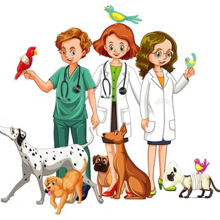 Telegram group profile photo for Я Ветеринарный Врач