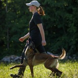 Telegram profile photo for Malinois Veis