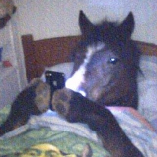Telegram profile photo for #nebulagoated