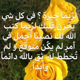 Telegram profile photo for سارة 🧚♀️توكيدات وأمتنان🪺