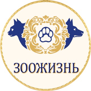 Telegram profile photo for Корма суперпремиум-класса для собак и кошек