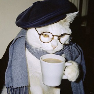Telegram profile photo for Dina's Drafts