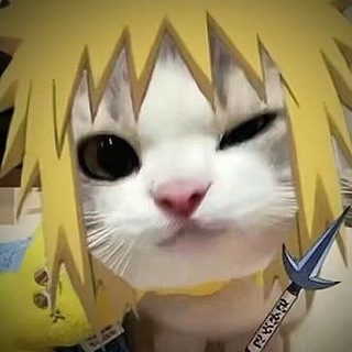 Telegram profile photo for 小泽主频道