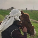 Telegram profile photo for •..ᥫ᭡مِـهِآجَرـ