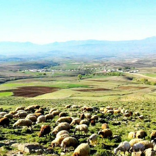 Telegram profile photo for اخبار و اطلاع رسانی روستای سیه کلان