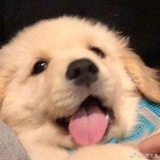 Telegram profile photo for ifrene