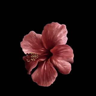 Telegram profile photo for صدقة جارية ادعية قرآن اذكار