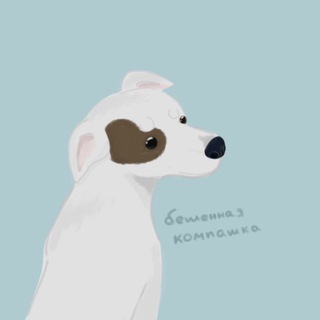Telegram profile photo for эшли | canicross