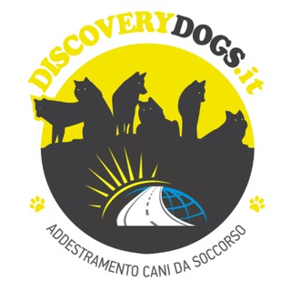 Telegram profile photo for DISCOVERY DOGS