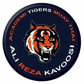 Telegram profile photo for موی تای حرفه ای .thaibox .MuayThai.