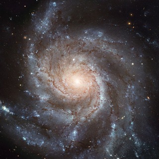 Telegram profile photo for What is Hubble looking at now?
