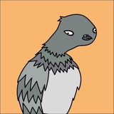 Telegram profile photo for Pigeon ||| SOLANA