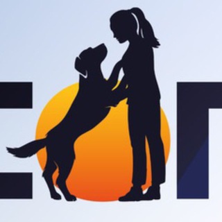 Telegram profile photo for ДИТИКОН/DTCON