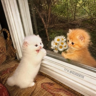 Telegram profile photo for ближе, чем кажется