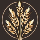 Telegram profile photo for Поля Дисы Колосьев