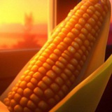 Telegram profile photo for 🌽Кукурузное поле🌽