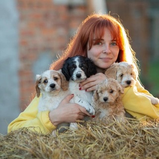 Telegram profile photo for Jane_Buonaparte