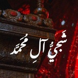 Telegram profile photo for شَجيُّ آلِ مُحَمَّد