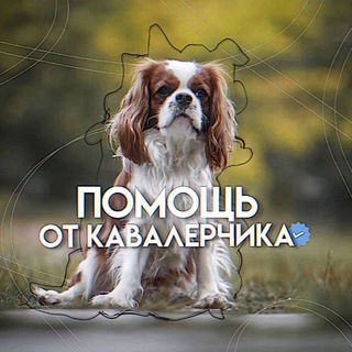 Telegram group profile photo for Помощь хаусам // вз от кавалерчика