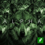 Telegram profile photo for Fresh Alpha💎
