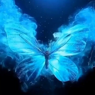 Telegram profile photo for 𝐵𝓁𝓊𝑒 𝐵𝓊𝓉𝓉𝑒𝓇𝒻𝓁𝓎 🦋