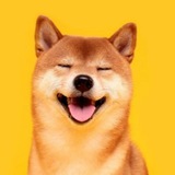 Telegram profile photo for Ave-Top8 实时热搜