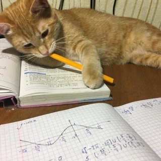 Telegram profile photo for ADD MATH F4 WITH QAYYUM