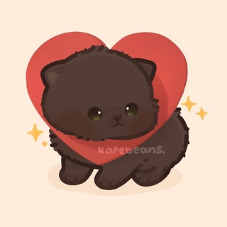 Telegram profile photo for C4TY's Rules
