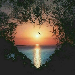 Telegram profile photo for ₩ *_إنها البداية * ¥🕯