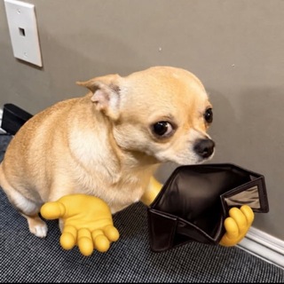 Telegram profile photo for Секонд-хэнд Ксюши и Жени