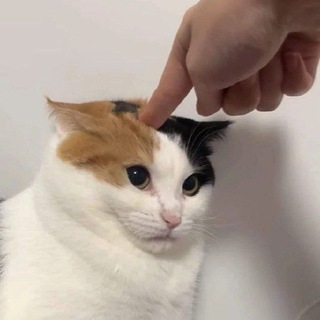 Telegram profile photo for my mind palace 🫀 CAT DEACTIVATION BUTTON 🐈