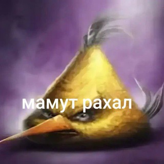 Telegram profile photo for МАЧА ХАЧА