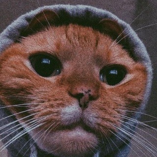 Telegram profile photo for Ig4