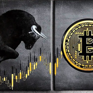 Telegram profile photo for UsokTrade