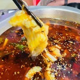 Telegram profile photo for 冷锅鱼店的小姐姐