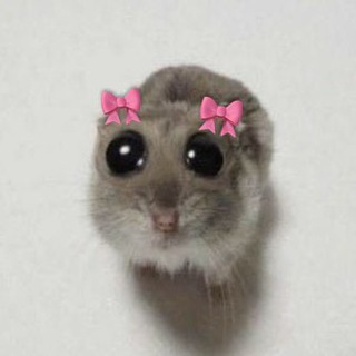 Telegram profile photo for Darya’s wishes