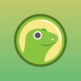 Telegram profile photo for The Crypto Gecko !🦎