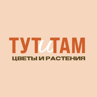 Telegram profile photo for ТУТuТАМ