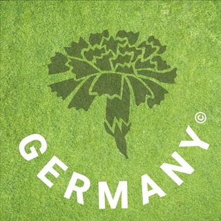 Telegram profile photo for Info Germany