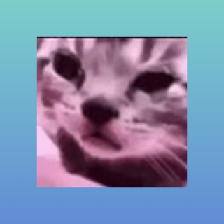 Telegram profile photo for repa Diaz00v