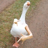 Telegram profile photo for xhi xhi ga ga