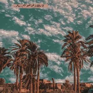Telegram profile photo for عشوائية مشاعر