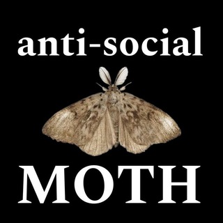 Telegram profile photo for Мотылёк из бездны