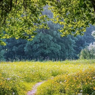 Telegram profile photo for Green Growth