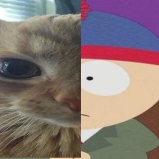 Telegram profile photo for лучше бы я играл на баяне и дальше